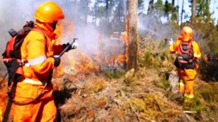 Lotta incendi, convenzione Calabria e Vigili del Fuoco Patto che regola le attività che afferiscono al piano tecnico organizzativo della campagna antincendi boschivi