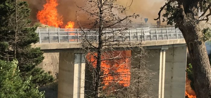 Catanzaro, incendio minaccia Parco Biodiversità Il presidente della Provincia, Enzo Bruno, sul posto a coordinare gli interventi. Situazione sotto controllo