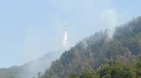 Vasto incendio nel tratto tra Cittanova e lo Zomaro Sul posto i volontari della Protezione civile, gli uomini di Calabria Verde e un elicottero nel tentativo di spegnere le fiamme