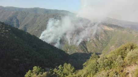 Provoca incendio Parco Nazionale Sila, denunciato Le fiamme hanno minacciato alcune abitazioni che sono state evacuate