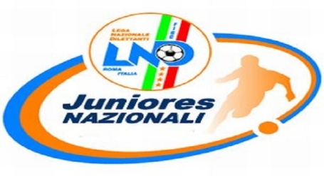 Calcio, Serie D Juniores Nazionali: la Palmesina si prepara Ecco il calendario completo delle calabresi