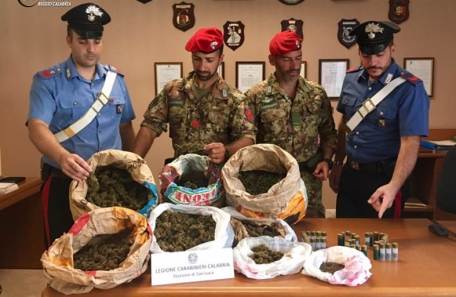 Armi e droga trovati nella Locride dai Carabinieri A Bianco sono stati scoperti 9 kg di marijuana e munizioni per fucile, mentre 2 giovani sono stati denunciati a Cirella per possesso di armi od oggetti atti a offendere