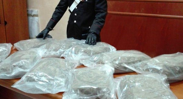 In auto con undici chili di droga, arrestato 36enne di Rosarno L’ingente quantitativo di sostanza rinvenuta, destinato ad essere immesso nelle piazze di spaccio gioiesi, avrebbe fruttato circa 150 mila euro