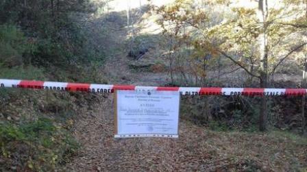 Irregolarità taglio bosco, sequestrata area di sei ettari Tre persone denunciate dai Carabinieri forestali 