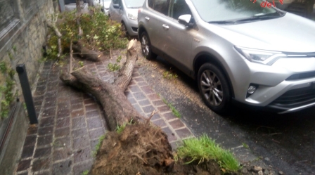 Pioggia e raffiche di vento, numerosi disagi in Calabria Intervento dei Vigili del Fuoco per la caduta di un albero e per la messa in sicurezza di alcune lamiere divelte. Una persona dispersa a Longobucco - ULTIMI AGGIORNAMENTI