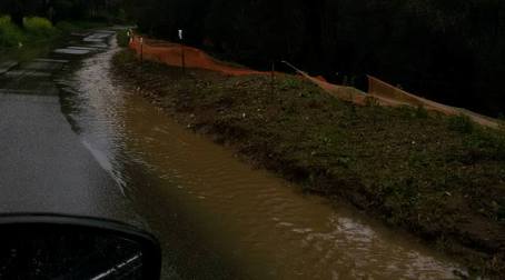 Gravi criticità nella strada provinciale Seminara-S.Anna L'arteria si trova in completo stato di abbandono