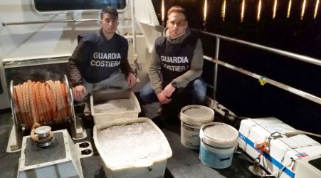 Sequestrati quasi 150 chili di bianchetto in Calabria Il carico di novellame è stato scoperto all'interno di un furgone. Multa di dodicimila euro al conducente dell'automezzo