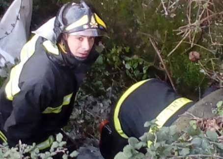 I Vigili del fuoco salvano 2 cuccioli a Lamezia Terme Erano rimasti intrappolati in un canale 