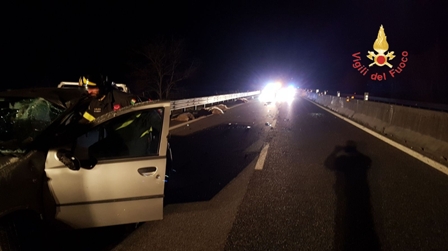 Gregge invade strada statale, violento scontro con auto Una Fiat Punto non è riuscita ad evitare l'impatto. Lievi ferite per il conducente, morte otto pecore