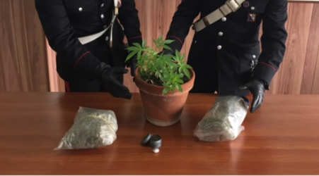 Trovate con 400 grammi di marijuana, 2 persone arrestate Fermati dai Carabinieri