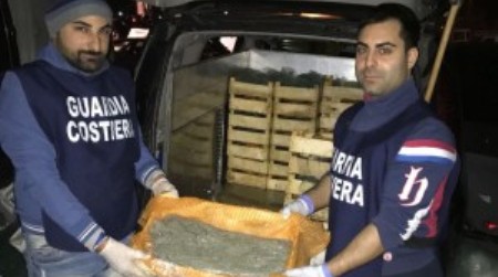 Sequestrati oltre cinque quintali di pregiato “bianchetto” Ispezione della Guardia Costiera. Sanzioni per 25 mila euro