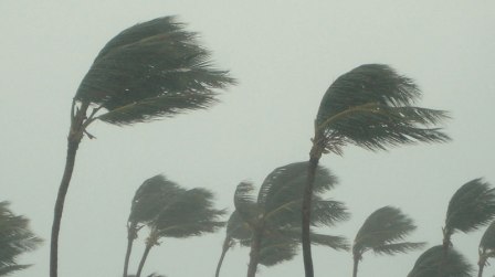 Maltempo, allerta gialla su Calabria meridionale e ionica Avviso di condizioni meteo avverse emesso dal Dipartimento della Protezione Civile