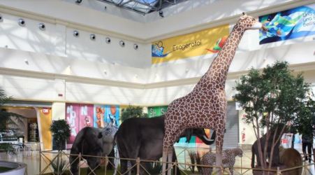 Rizziconi, zoo etico accoglie gli studenti di Taurianova Grande successo per il parco itinerante nella galleria del Centro Commerciale Porto degli Ulivi