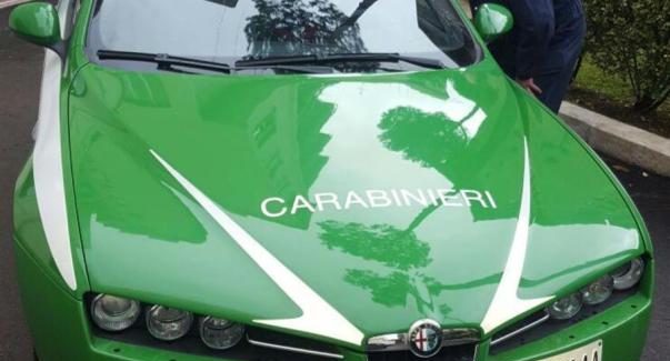 Canile rifugio Campo Calabro, quattro persone indagate Obbligo di dimora per l’ex presidente della Lega Nazionale per la Difesa del Cane di Reggio Calabria. Sequestro preventivo di beni per oltre centomila euro