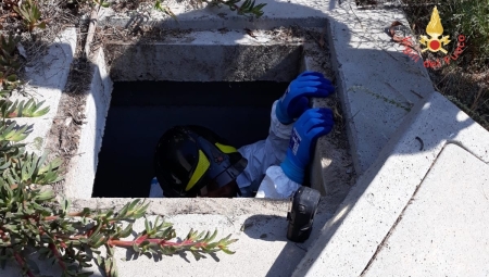 Nove cuccioli salvati dai Vigili del fuoco a Davoli Marina I cagnolini, appartenenti tutti ad una medesima cucciolata, erano stati partoriti all’interno di un canale interrato per il deflusso delle acque meteoriche, avente sbocco sulla spiaggia