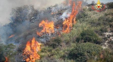 Incendio lambisce alcune abitazioni nel Catanzarese Intervento tempestivo dei Vigili del Fuoco