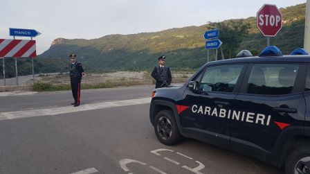 Marijuana coltivata a casa: ventottenne in manette Servizio dei Carabinieri finalizzato alla prevenzione ed alla repressione di reati in materia di spaccio di stupefacenti