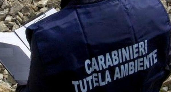 Rifiuti, sequestrata isola ecologica a Vibo Valentia Operazione dei Carabinieri della locale stazione e del Nucleo operativo ecologico di Reggio Calabria