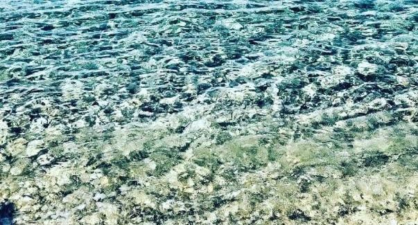 Il “miracolo” del mare di Palmi Ricambiamo i saluti del sindaco Giuseppe Ranuccio