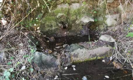 Palmi, al via la bonifica del torrente San Miceli I lavori porteranno alla creazione di un parco fluviale fruibile per tutti i cittadini