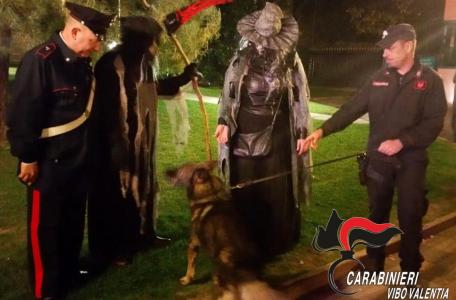 “Halloween”, controlli Nas e carabinieri di Catanzaro e Vibo Sequestrati 1.450 prodotti pericolosi per la salute pubblica