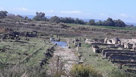 Parco Sibari, dura Margherita Corrado (M5S Senato) "Se le trincee drenanti hanno fallito, lo Stato ammetta leproprie responsabilità e chiuda il Parco"