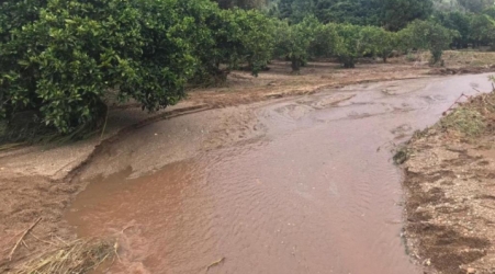 Proseguono le ricerche del bimbo scomparso a Lamezia Operazioni complesse in virtù di importanti accumuli di acqua e fango. L'esondazione di un torrente ha provocato la morte della madre e del fratello del piccolo