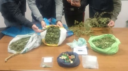 Fattoria dedita a produzione marijuana, famiglia in manette I Carabinieri hanno anche scovato ventinove cartucce calibro dodici detenute illegalmente