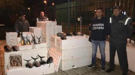 Guardia Costiera sequestra oltre 800 chili di prodotto ittico Il pescato è stato giudicato non idoneo al consumo umano e quindi distrutto