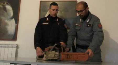 Sorpreso a tagliare legna nel Parco della Sila, denunciato L’uomo è stato individuato dai Carabinieri Forestale a bordo di un fuoristrada al cui interno vi era una motosega ed un bidone contenente carburante