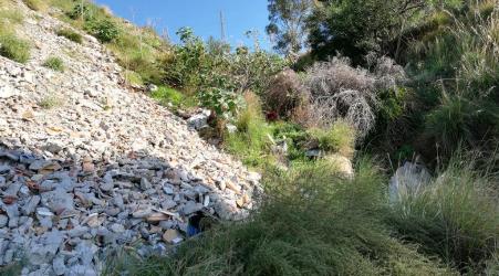 Lazzaro, grave pericolo per minaccia del Torrente Saitta La denuncia di Vincenzo Crea, referente unico dell’A.N.CA.DI.C