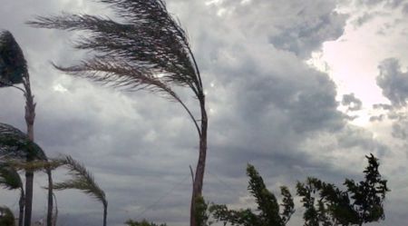 Maltempo, tempesta maestrale crea danni nel Reggino Messe in ginocchio le imprese agricole del territorio