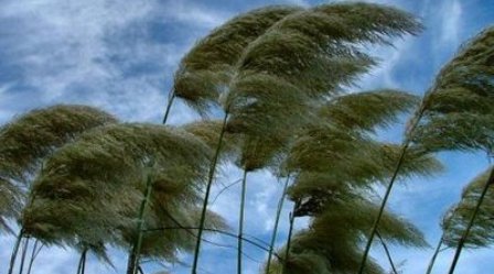 Maltempo, in arrivo venti di burrasca nel territorio calabrese La Protezione Civile ha emesso un avviso di condizioni meteorologiche avverse