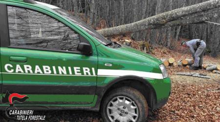 Contrasto dissesto idrogeologico, denunce Controlli da parte dei Carabinieri Forestale