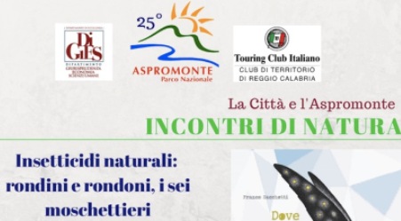 Appuntamento “Incontri di Natura” a Parco Aspromonte Rondini e rondoni protagonisti di un viaggio nell’affascinante mondo dell’avifauna