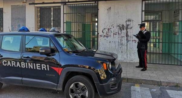 Gatto ucciso a scuola: denunciato collaboratore scolastico Attività investigative condotte dai Carabinieri di Gioia Tauro