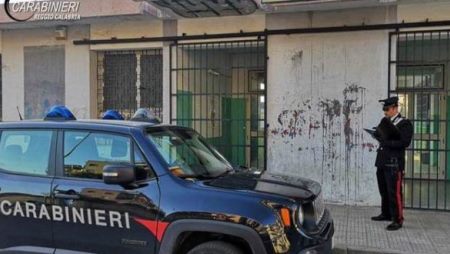 Caso del “gatto ucciso” in una scuola a Gioia Tauro Nota del difensore del collaboratore scolastico, avv. Raimondo Paparatti