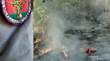 Incendi boschivi, Carabinieri Forestali accertano violazioni Contestati illeciti amministrativi per un valore di 4500 euro