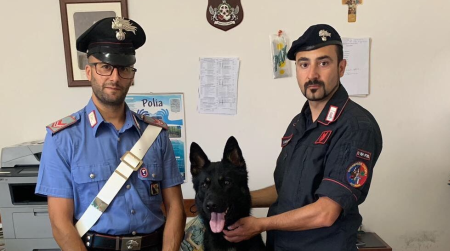 “Cane Carabiniere” trova munizioni durante controlli Deferito a piede libero un uomo di 42 anni