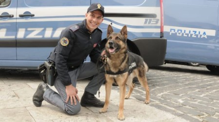 Nascondeva in casa mezzo chilo marijuana, arrestato 48enne La sostanza stupefacente è stata rinvenuta grazie all'ausilio di un cane poliziotto antidroga