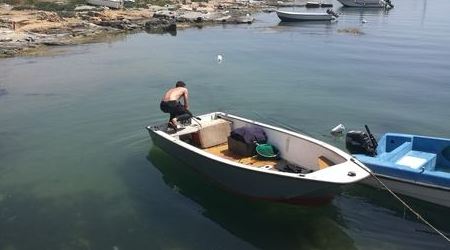 Pesca illegale ricci di mare, una persona denunciata Operazione della Capitaneria di Porto