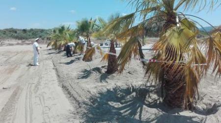 Occupazione abusiva, sequestrato un tratto di spiaggia Il responsabile è stato denunciato in stato di libertà all'Autorità Giudiziaria