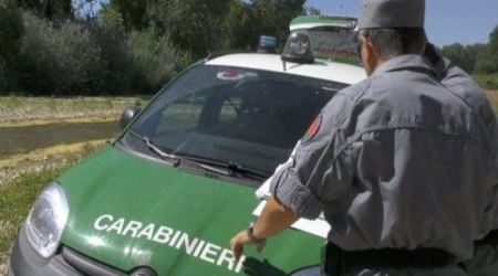 Irregolarità due impianti depurazione, scatta il sequestro Controlli da parte dei Carabinieri Forestale