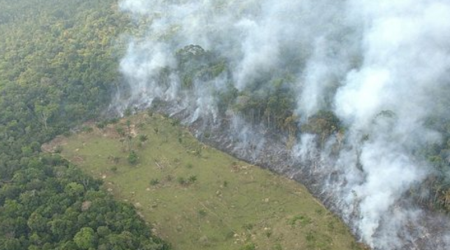 La foresta amazzonica brucia, il mondo va in apnea Il disastro naturale rischia di compromettere la situazione ambientale del pianeta