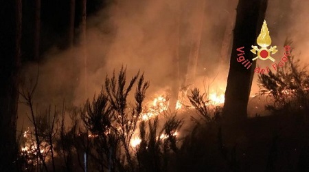 Calabria, tre incendi nella notte: lambite abitazioni Panico tra i cittadini. Circa cinque ore di lavoro dei Vigili del Fuoco per domare le fiamme