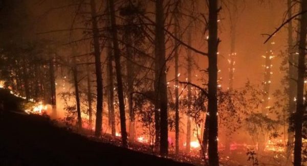 Incendi, Spirlì, “Attivi 59 roghi, situazione ancora grave” Il presidente fa il punto sull'emergenza in Calabria 