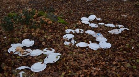 Eco Day, raccolta materiale plastico sulla montagna Zomaro "Cooperativa Humanitas", "Kalon Brion Asd", "Legambiente" Cittanova e "Decathlon" Gioia Tauro promotrici di una giornata di importante rilievo socio-ambientale