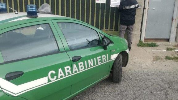 Reggio Calabria, scoperta e sequestrata un’area di stoccaggio e discarica abusiva di automezzi e rifiuti speciali Una persona denunciata