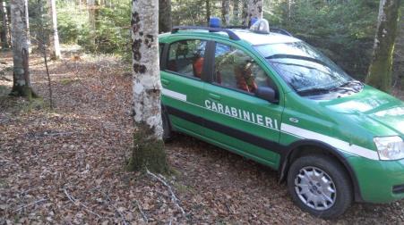 Furto di legna in una riserva naturale “Marchesale” in Calabria I carabinieri forestali oltre a denunciare il soggetto, hanno sequestrato una motosega