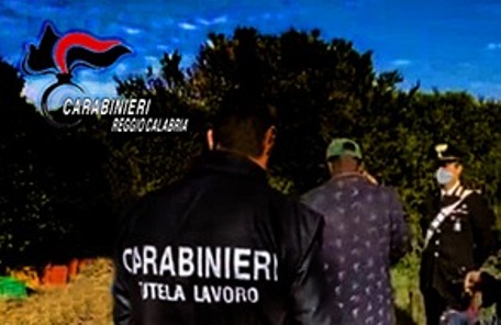 Gioia Tauro, lotta al caporalato, denunciati due titolari di aziende agricole Oltre a sanzioni per circa 8000 euro